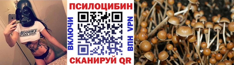 Галлюциногенные грибы Magic Shrooms  Сусуман 